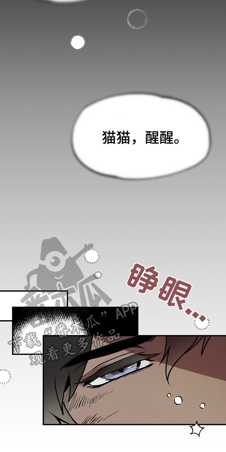第15章：梦想