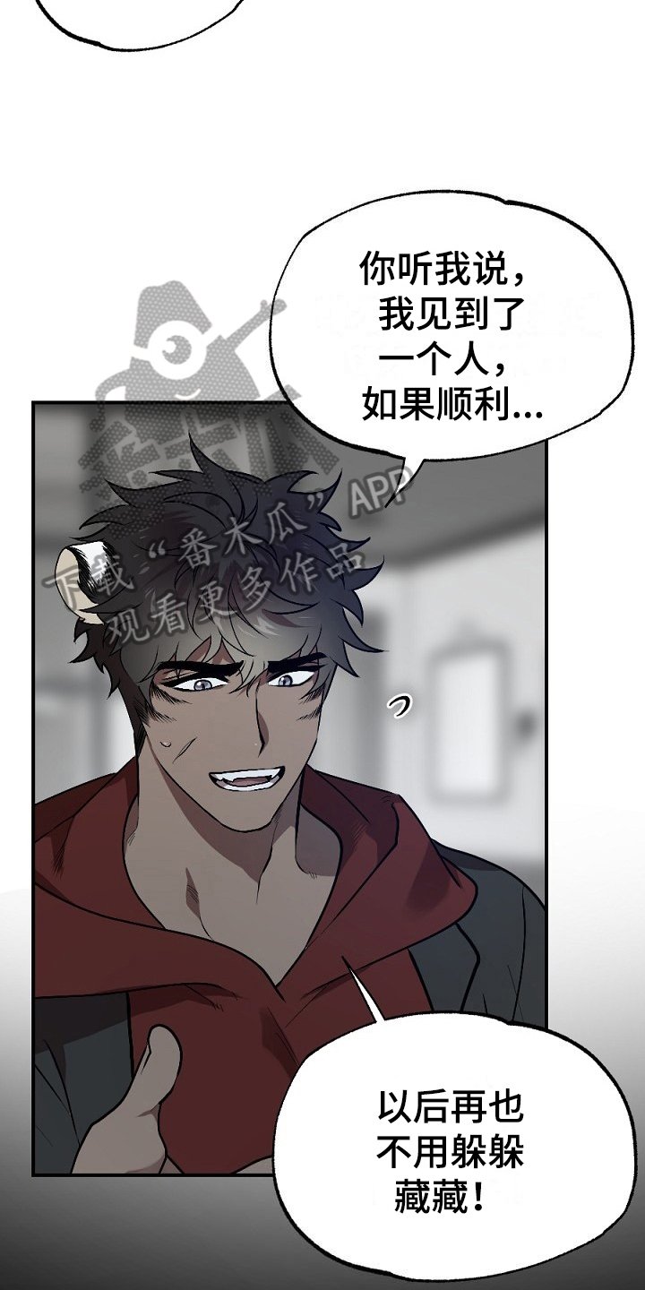 第17章：看走眼