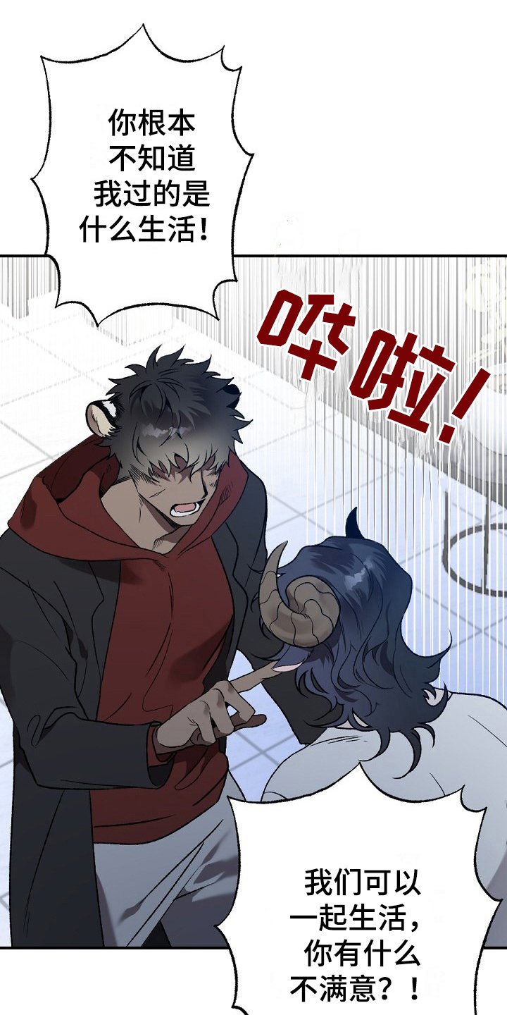 第17章：看走眼