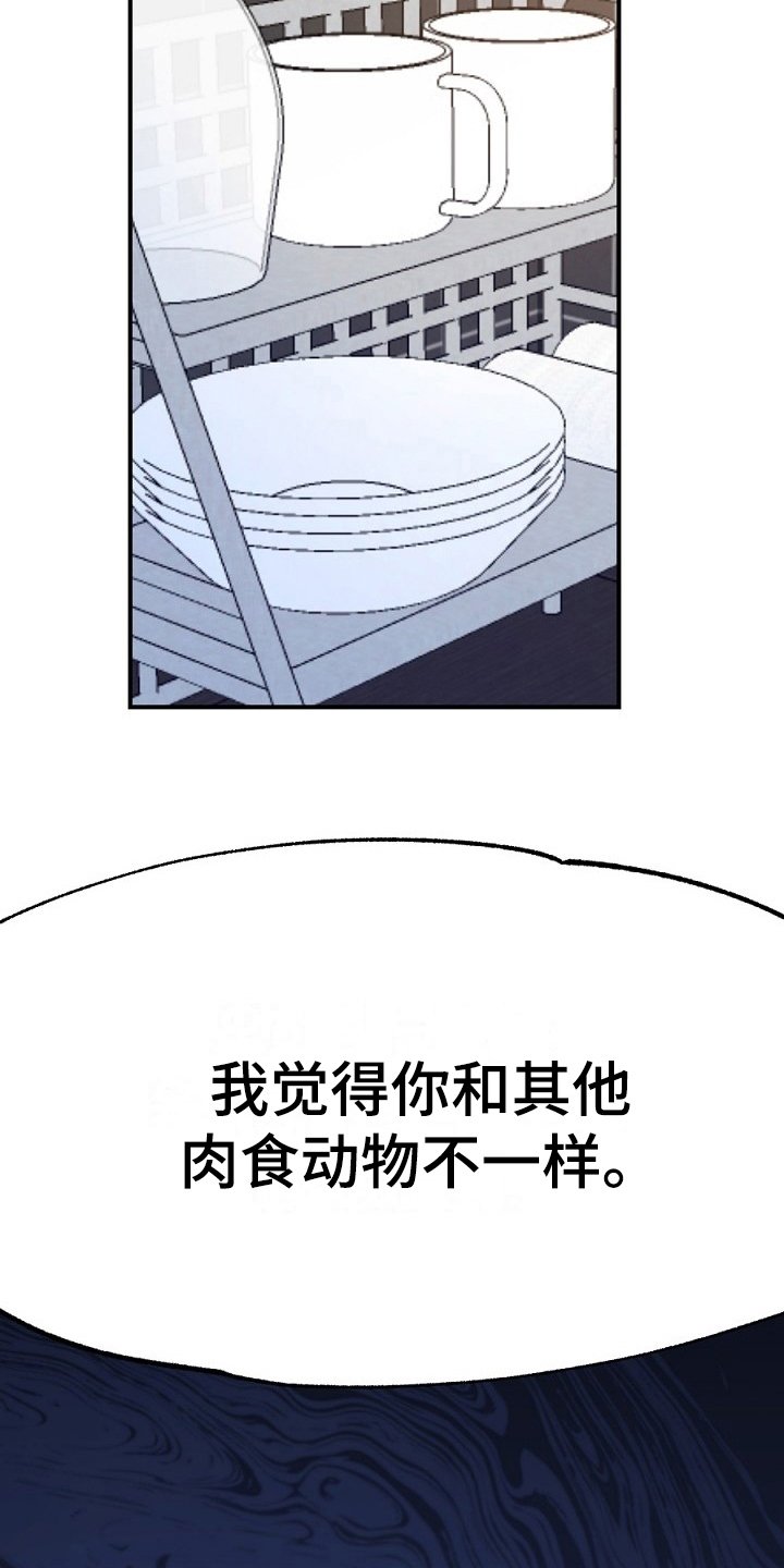 第17章：看走眼
