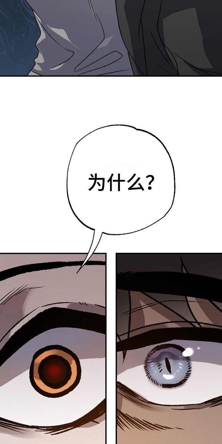 第19章：散伙