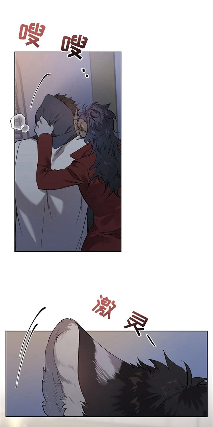 第2章：收留