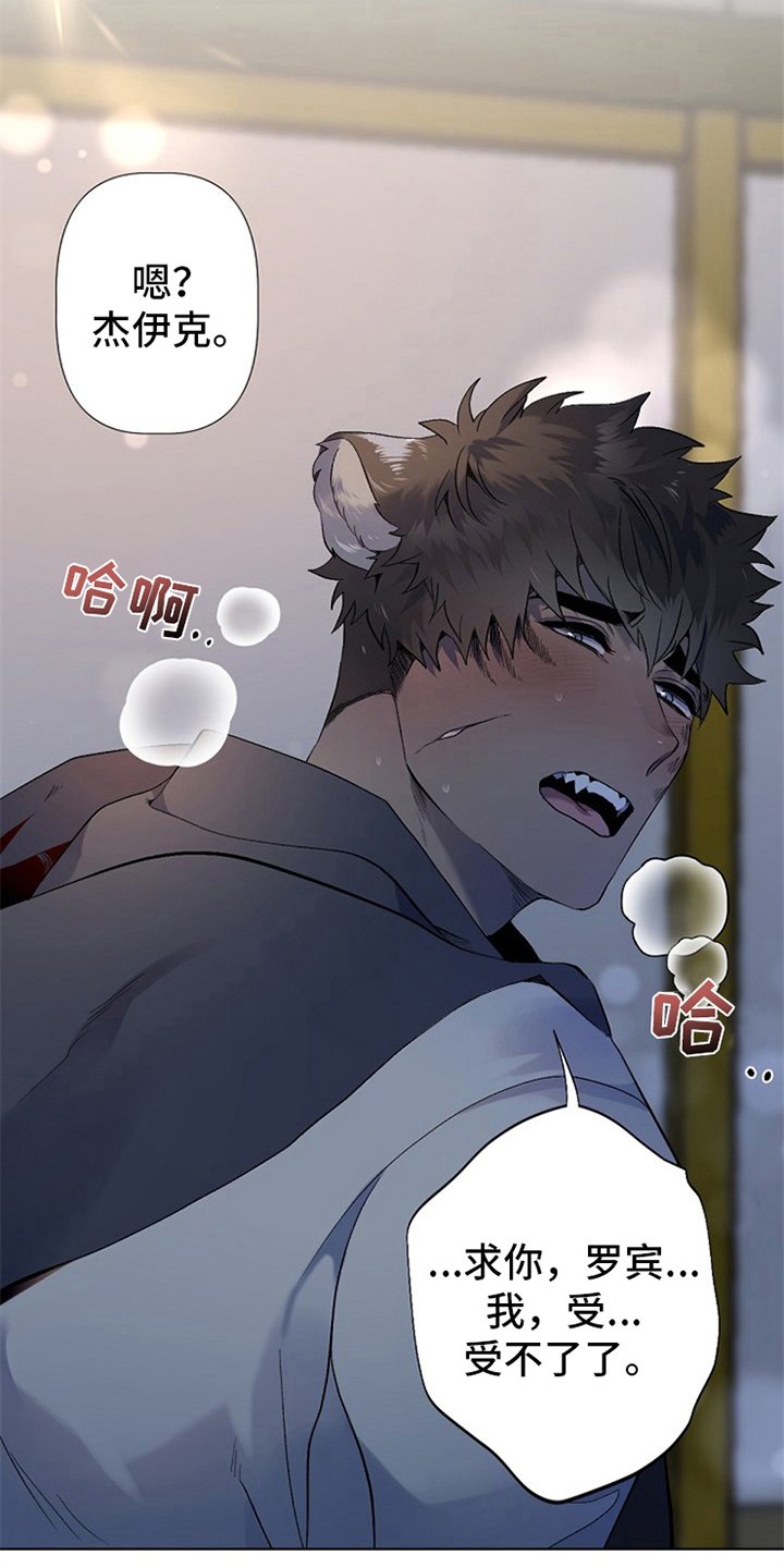 第2章：收留