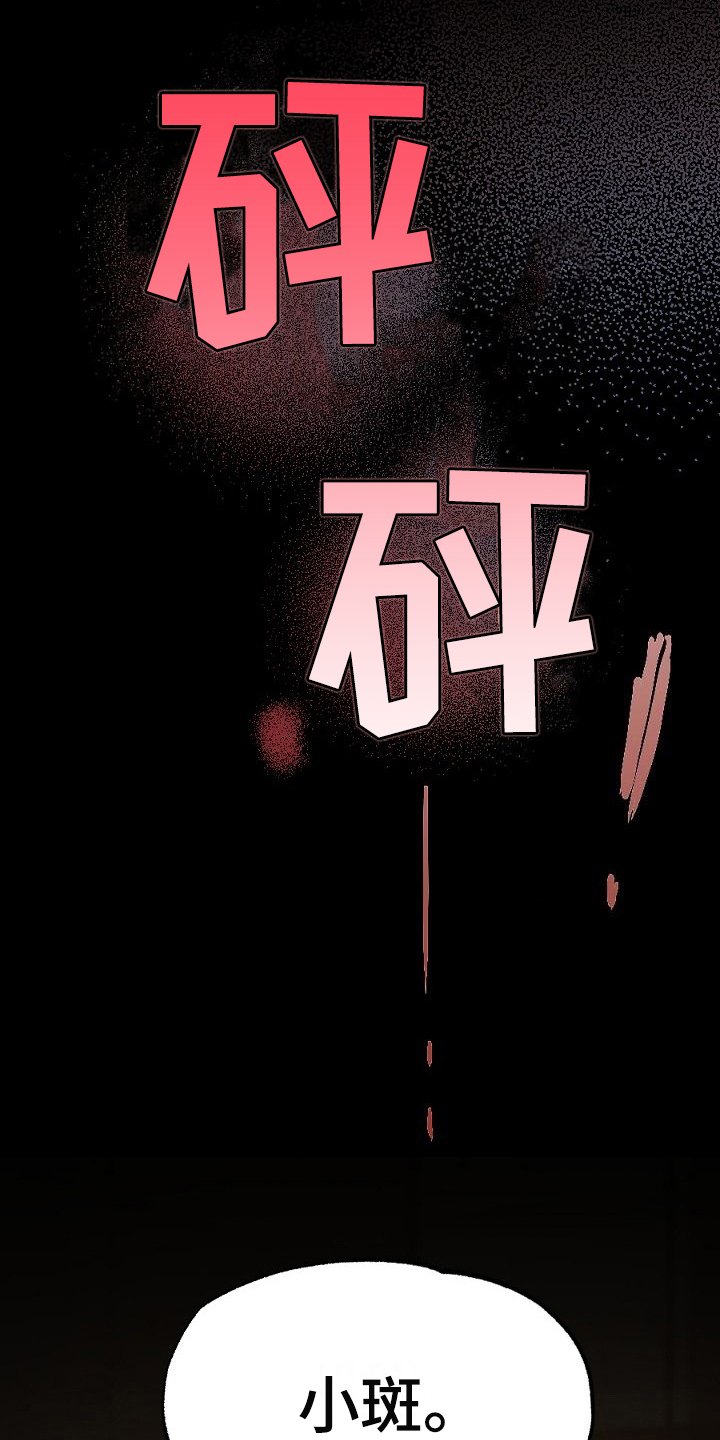 第20章：利用