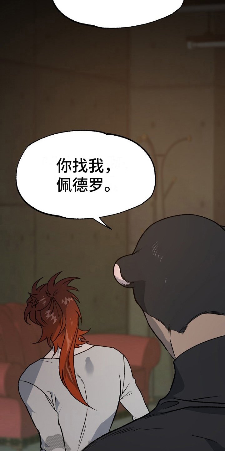 第20章：利用