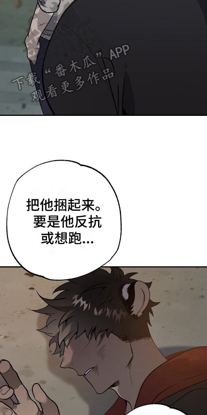 第20章：利用