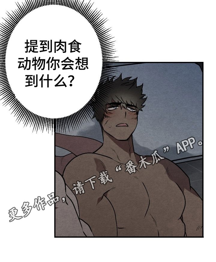 第20章：利用