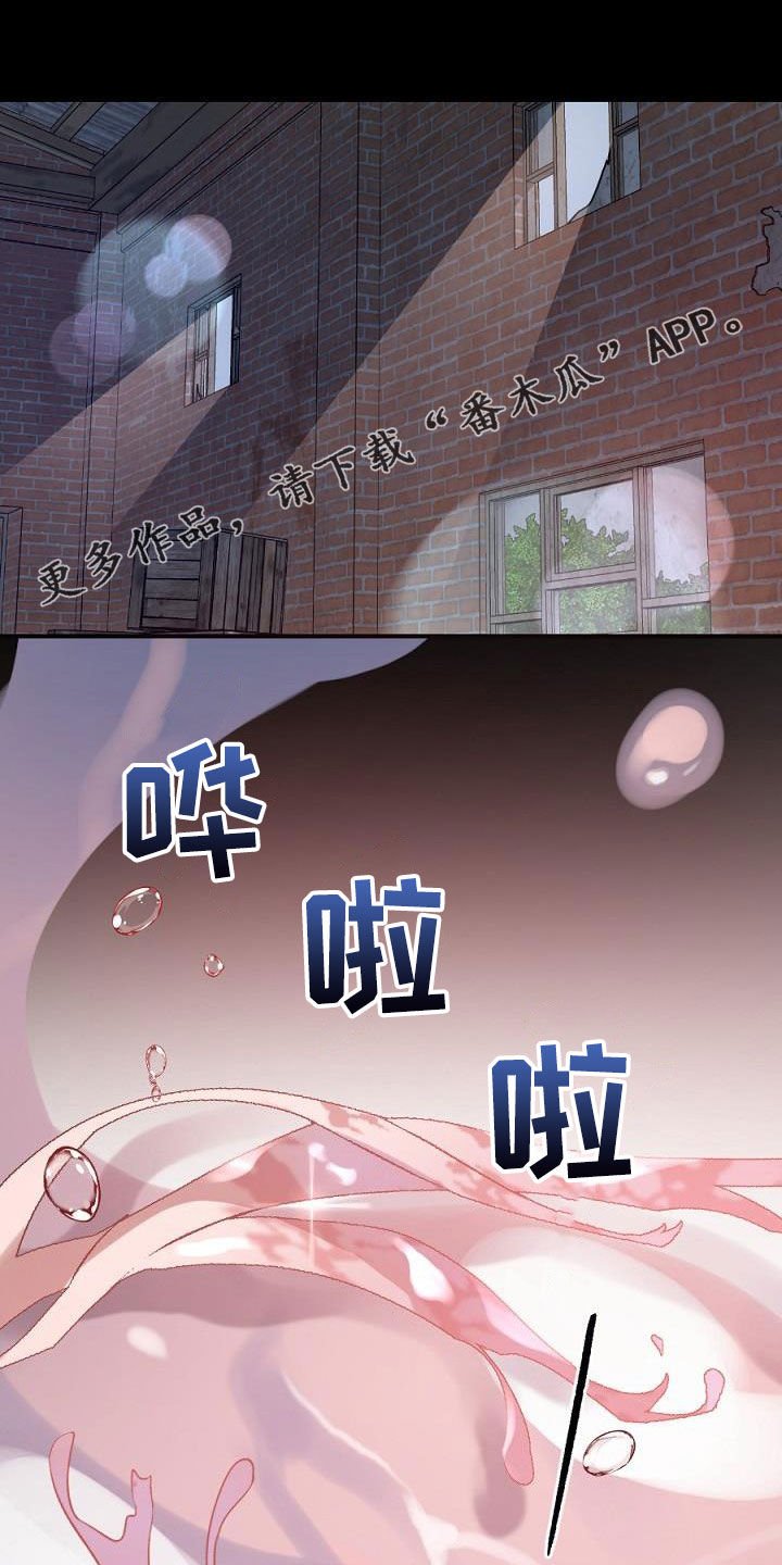 第23章：种子