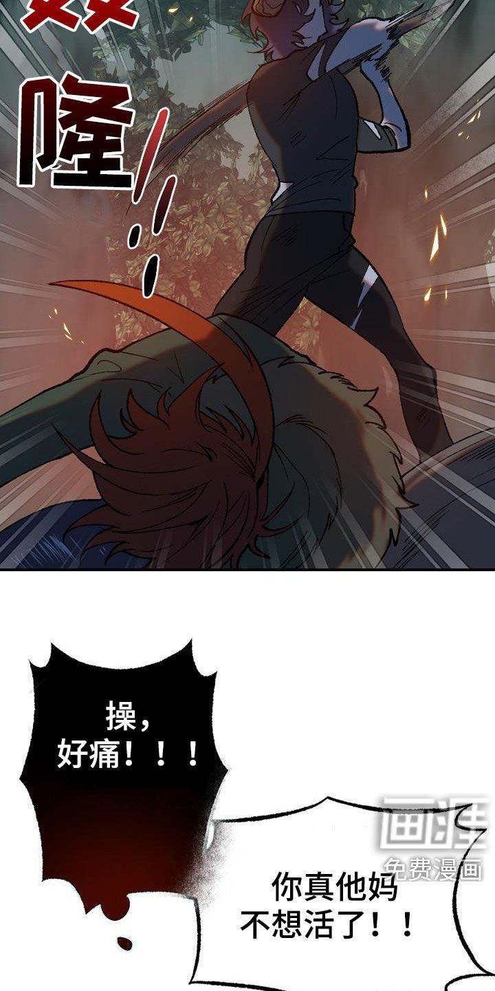 第26章：突变
