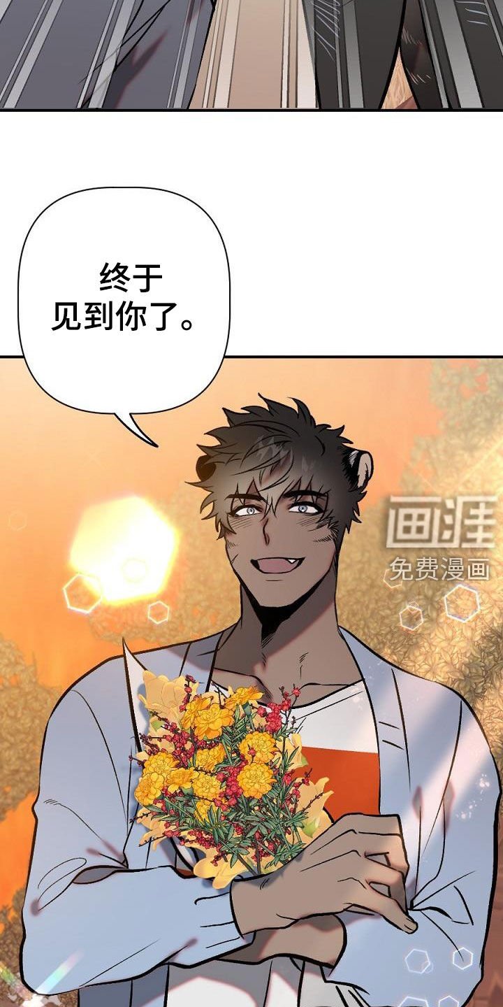 第28章：重逢（完结）