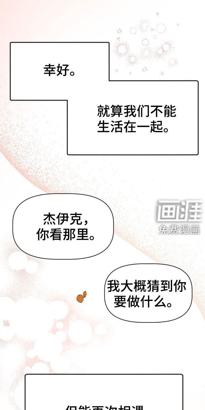 第28章：重逢（完结）