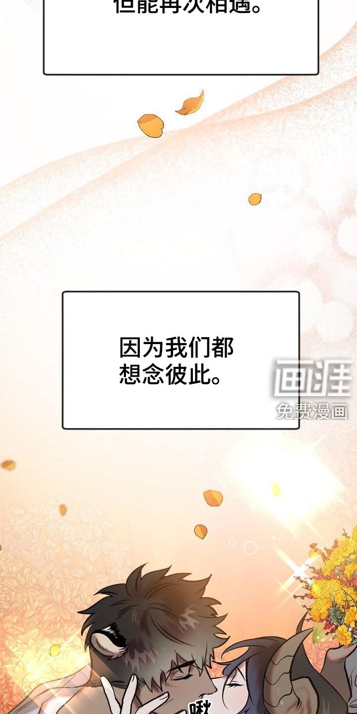第28章：重逢（完结）