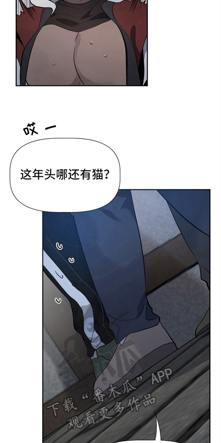 第4章：救援