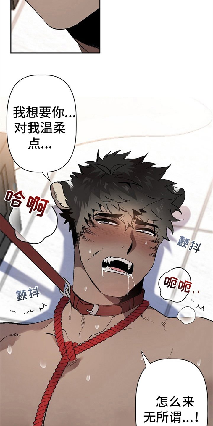 第5章：问题