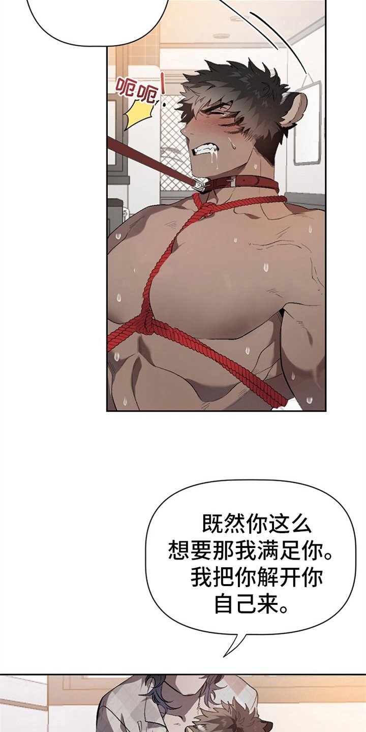 第5章：问题
