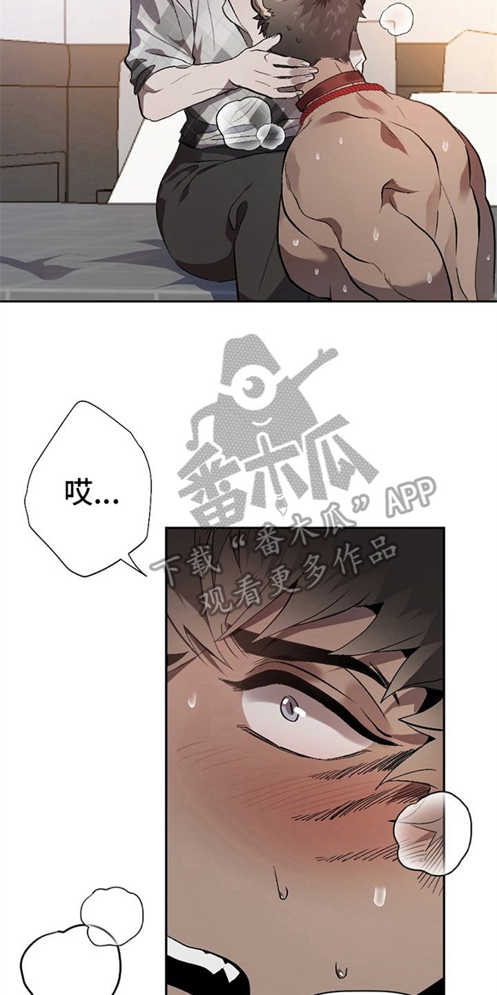 第5章：问题