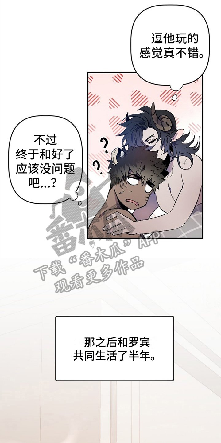 第5章：问题