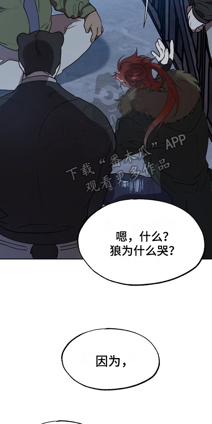 第8章：危险的狼
