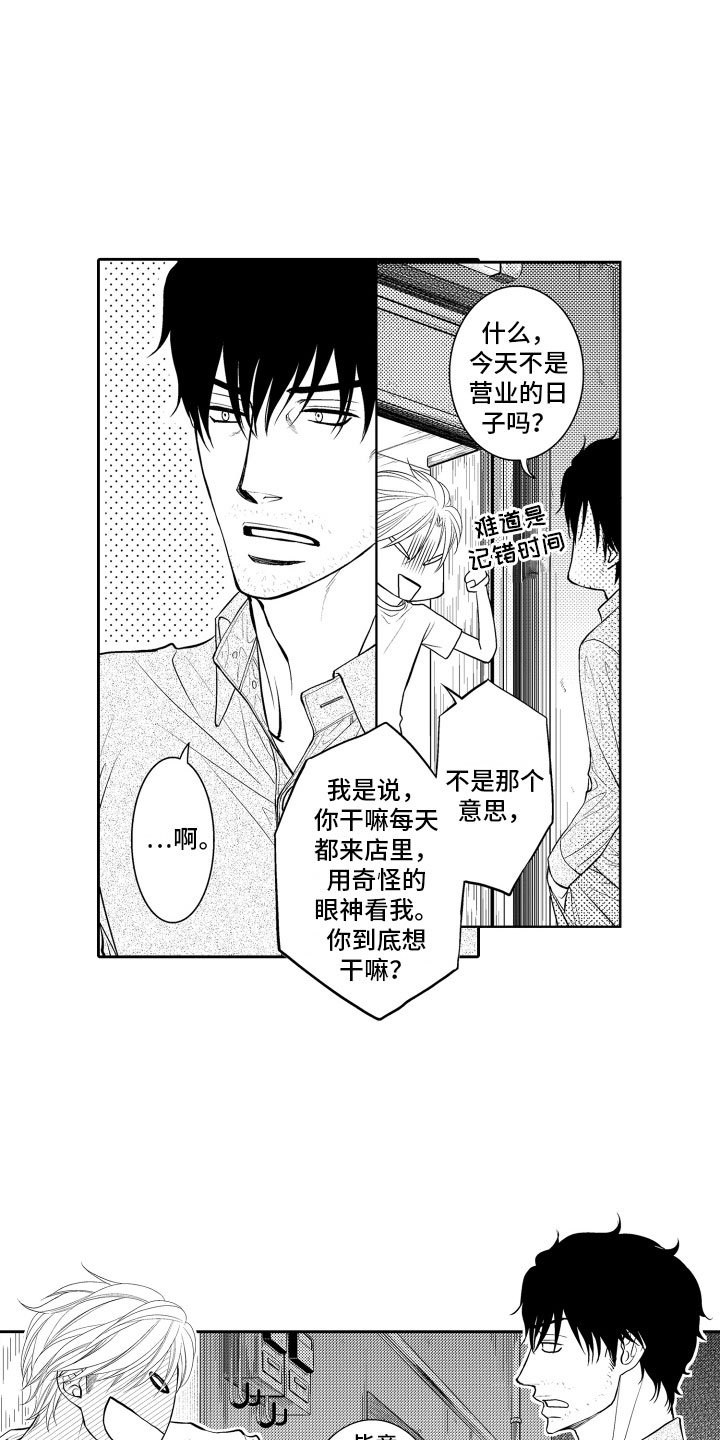 第16章：审视