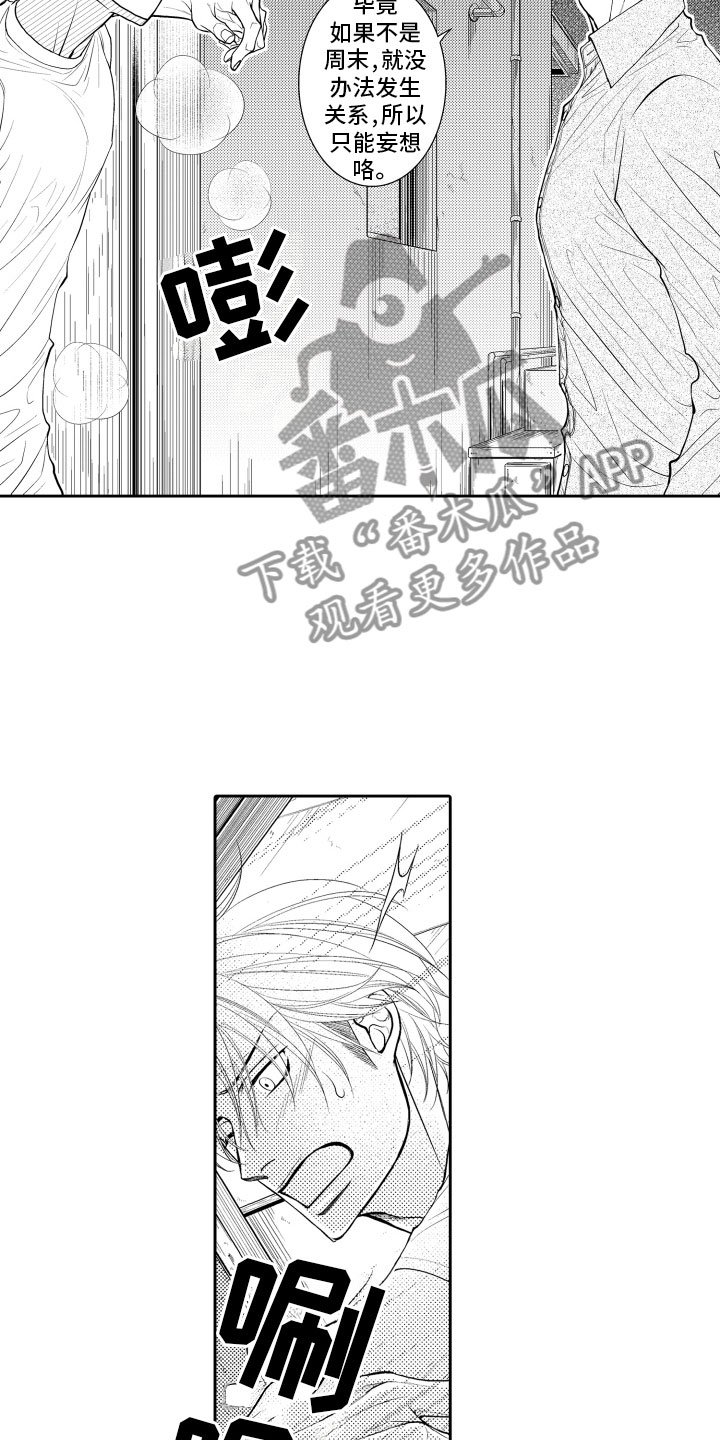 第16章：审视