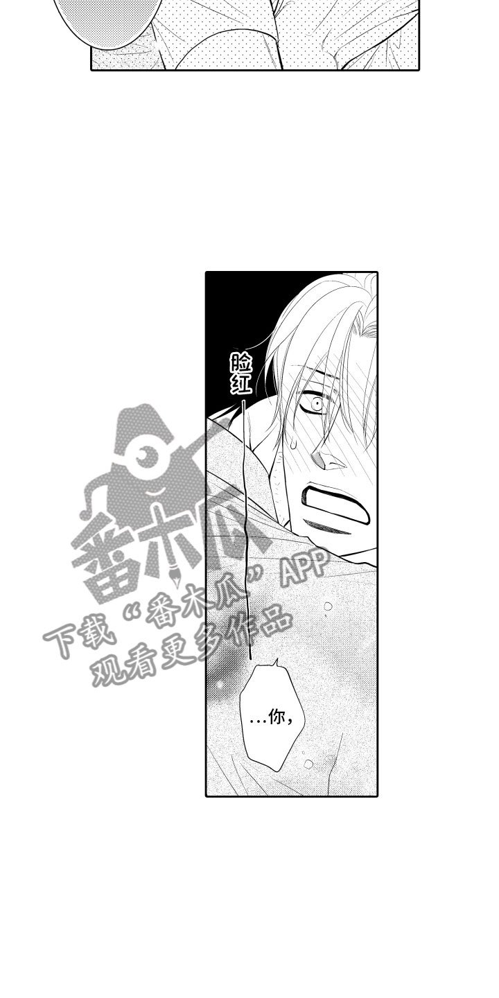 第16章：审视