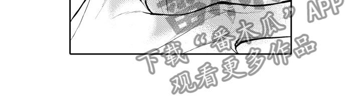 第16章：审视