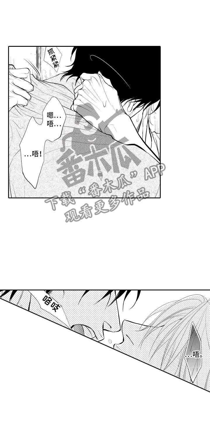 第16章：审视