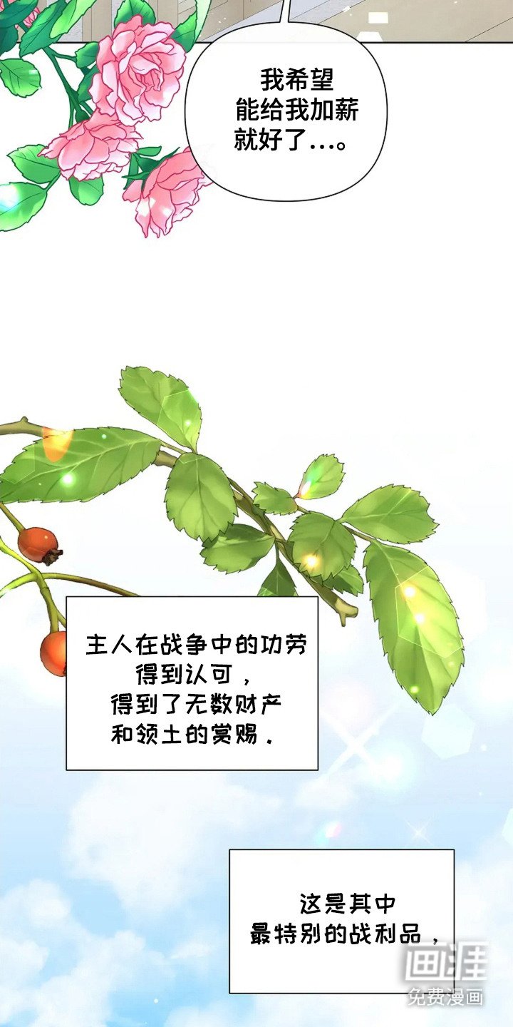 第11章：公主
