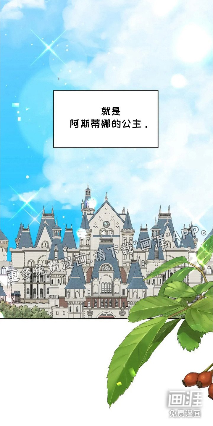 第11章：公主