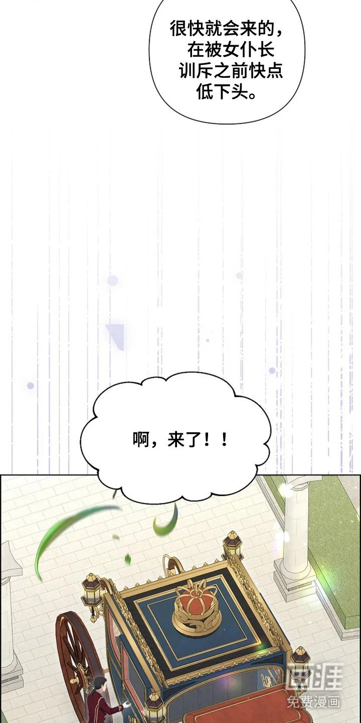 第11章：公主