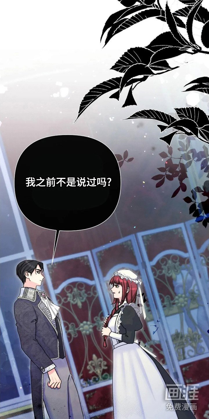 第13章：代替 