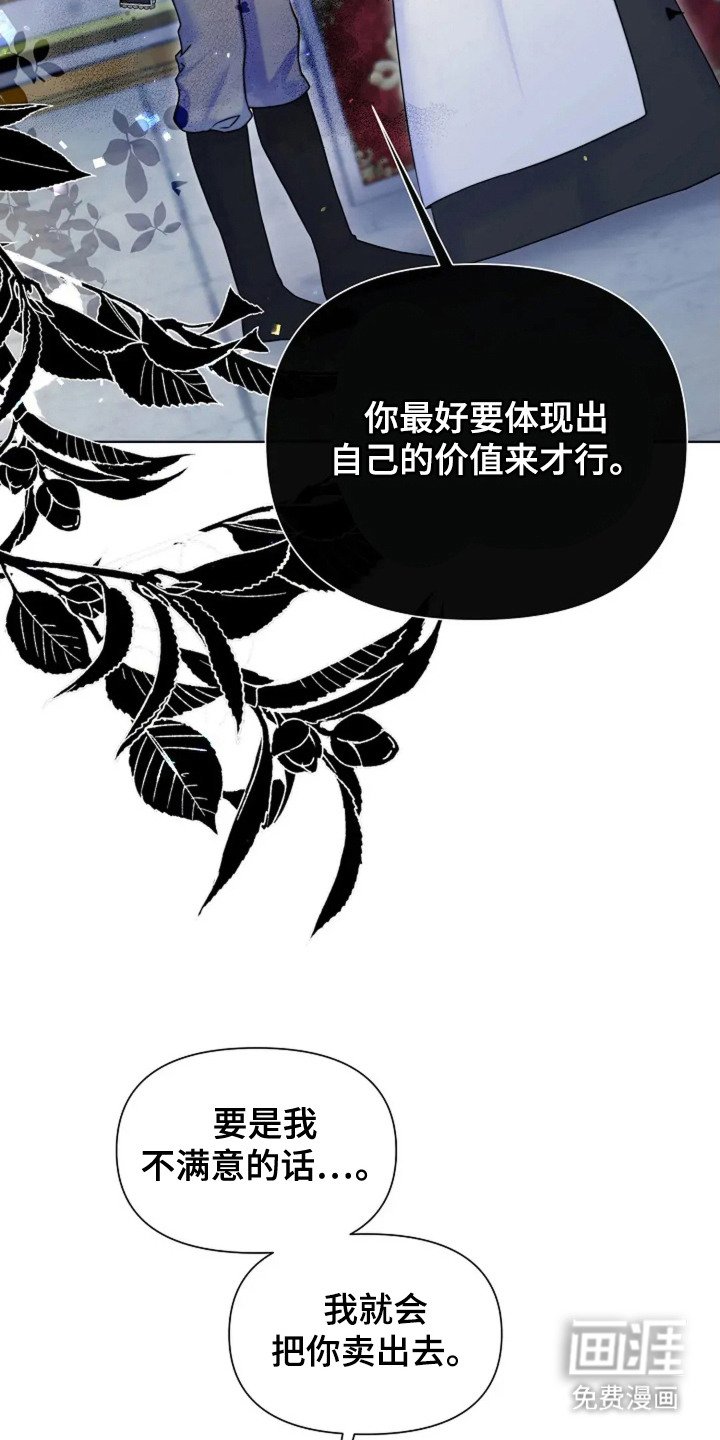 第13章：代替 