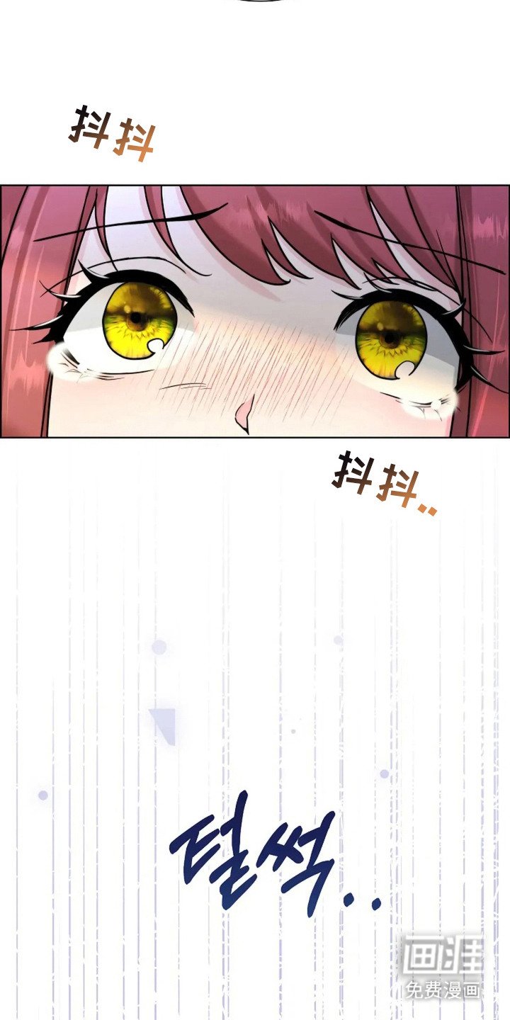 第13章：代替 