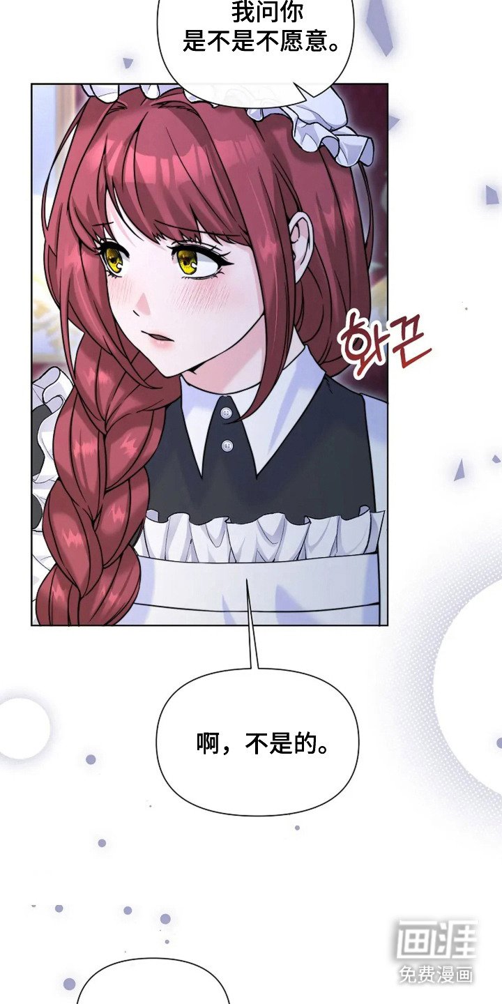 第13章：代替 