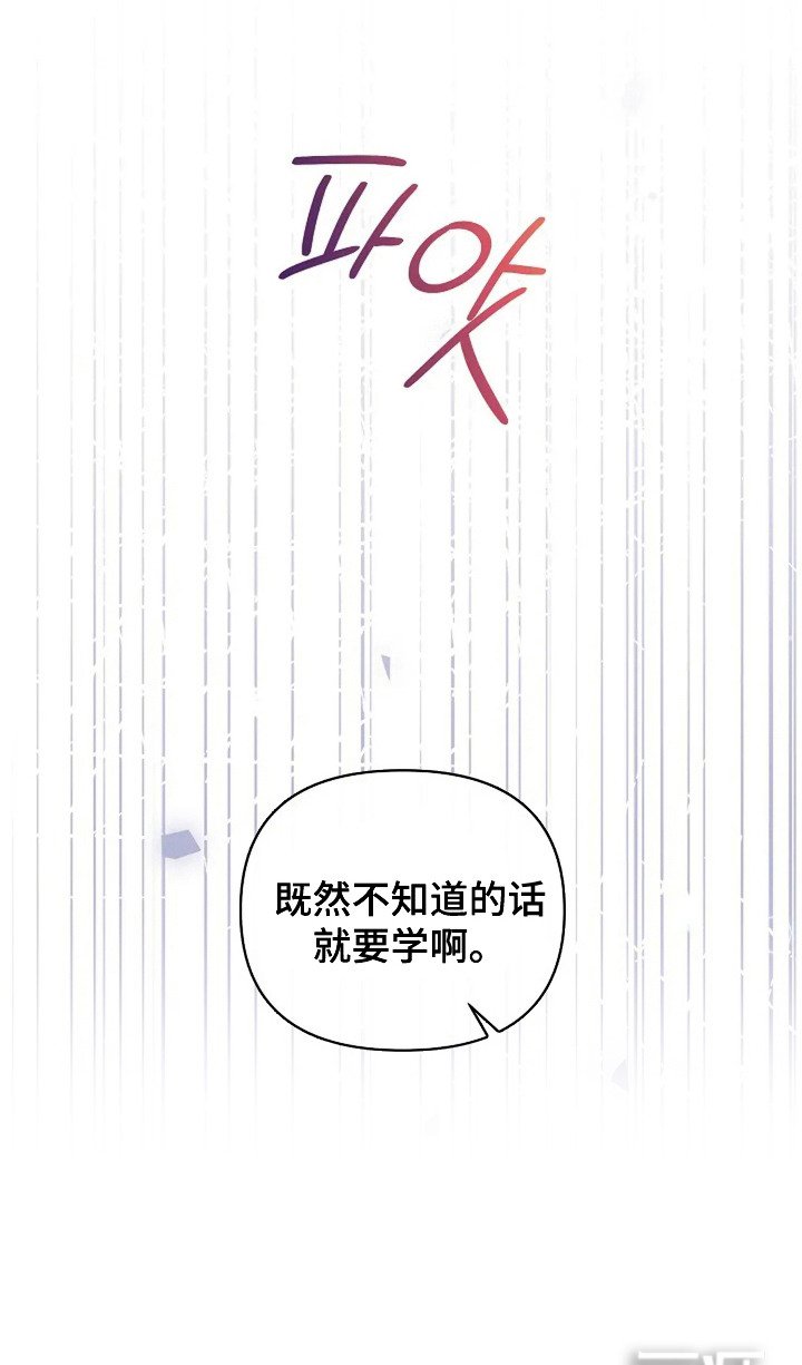 第13章：代替 