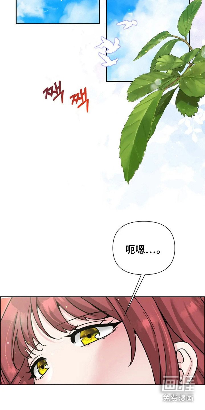 第15章：来晚了