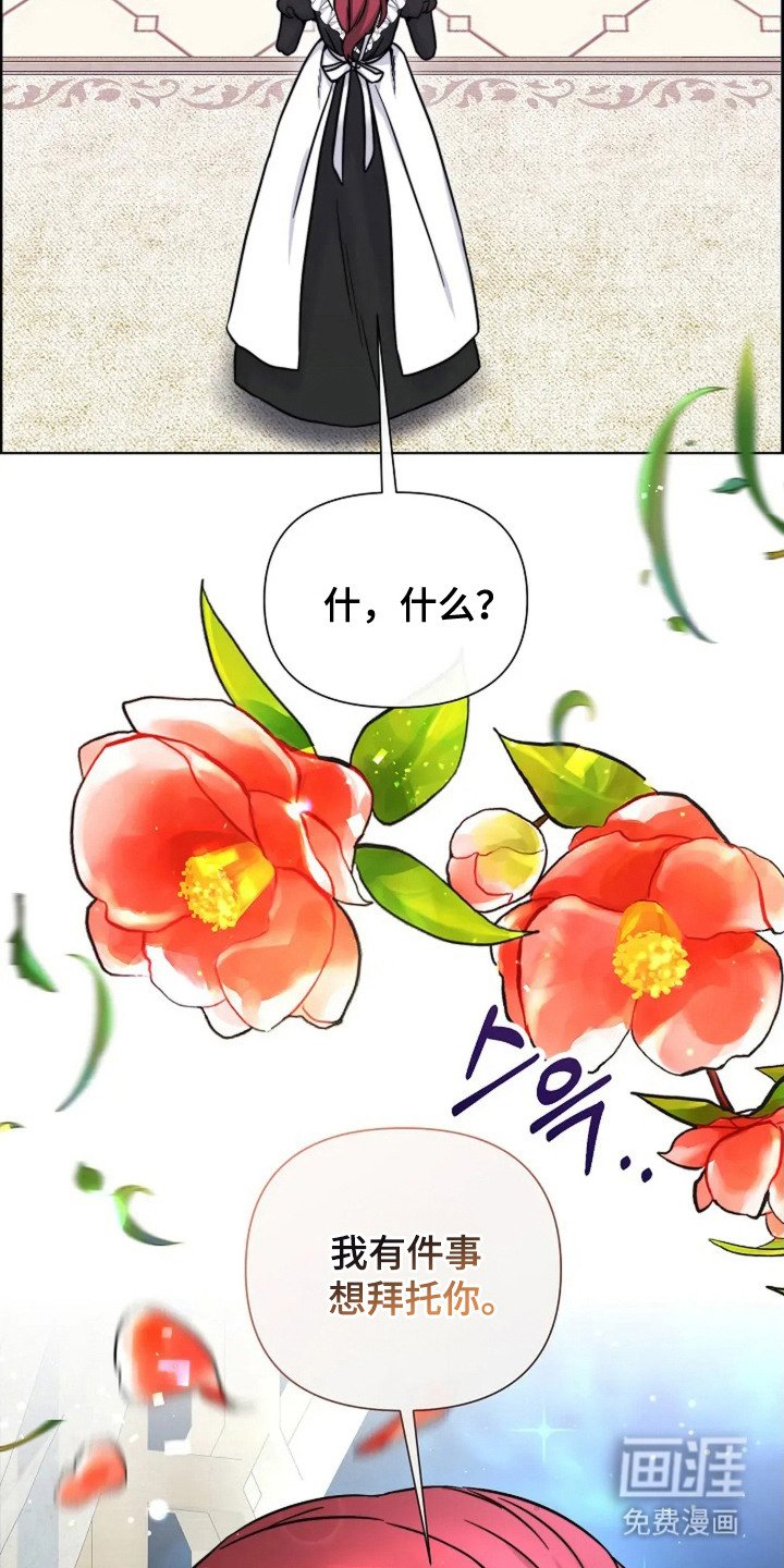 第17章：又消失了
