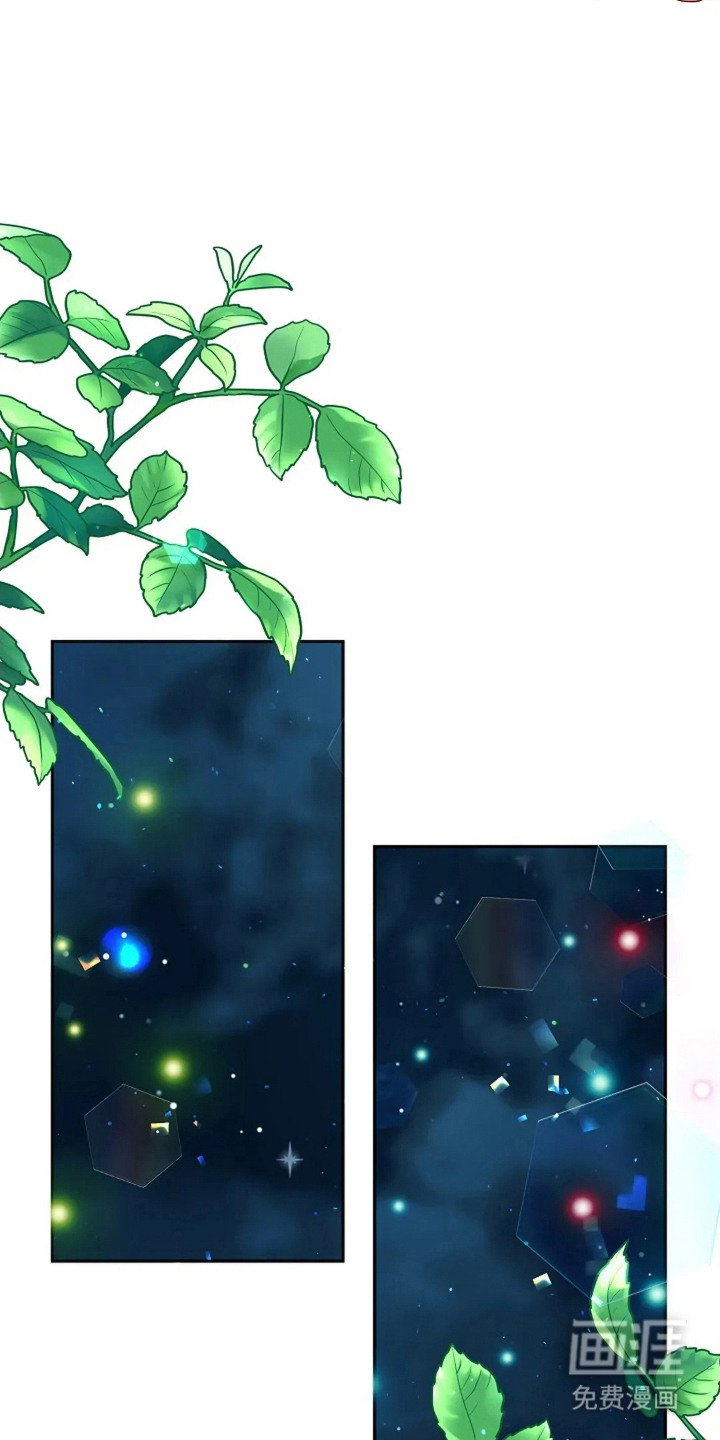 第17章：又消失了