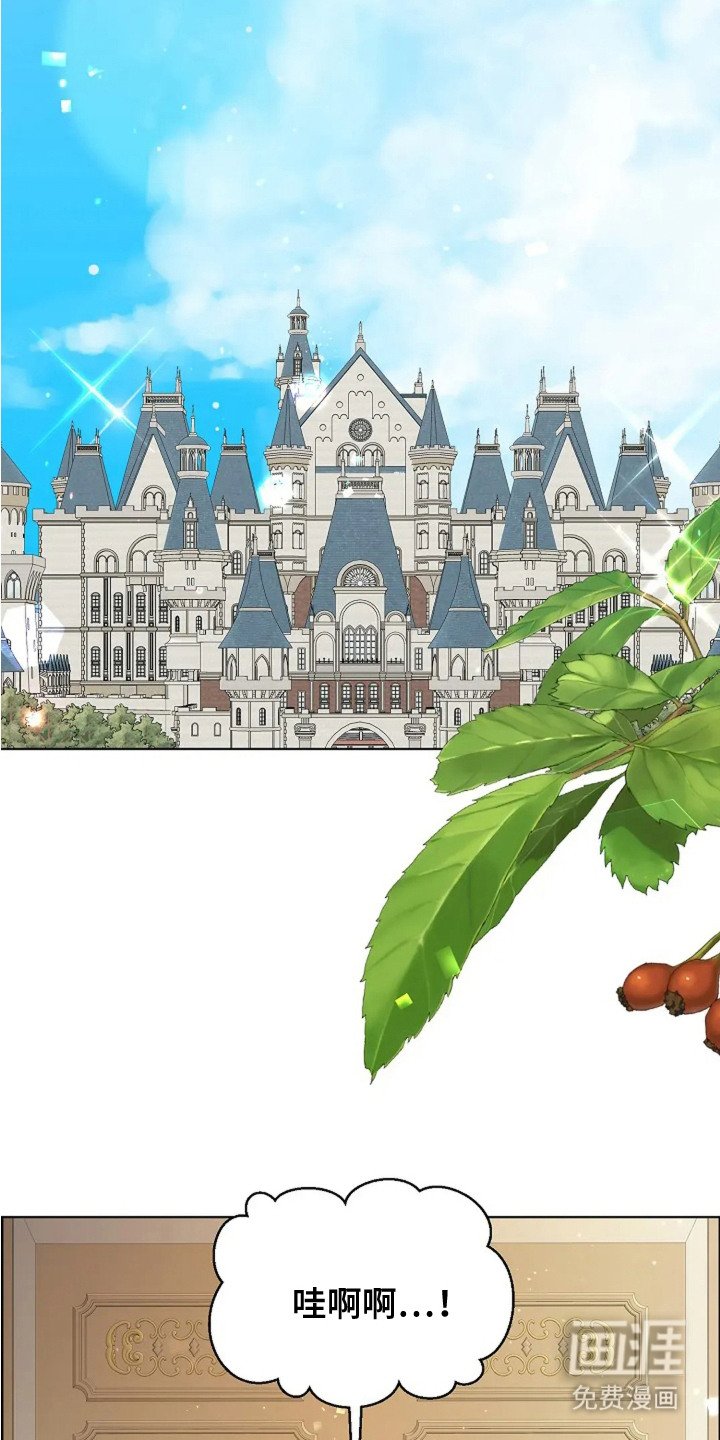 第20章：询问