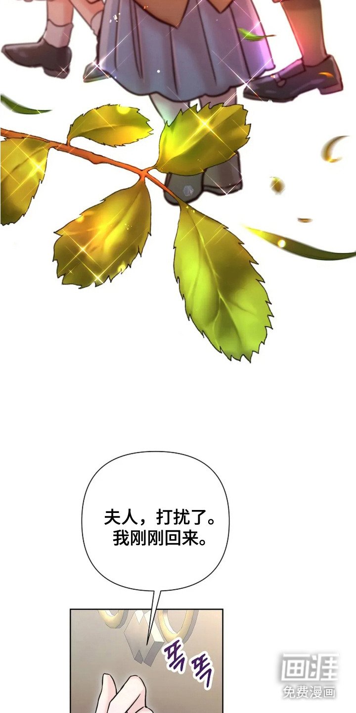 第23章：玫瑰色