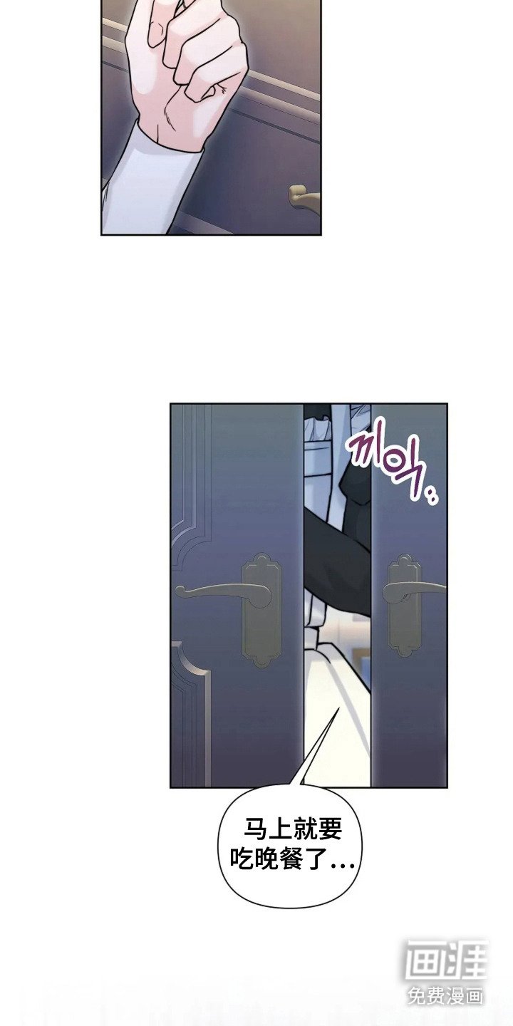 第23章：玫瑰色