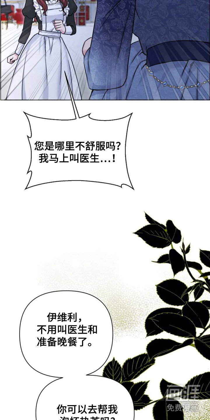 第23章：玫瑰色