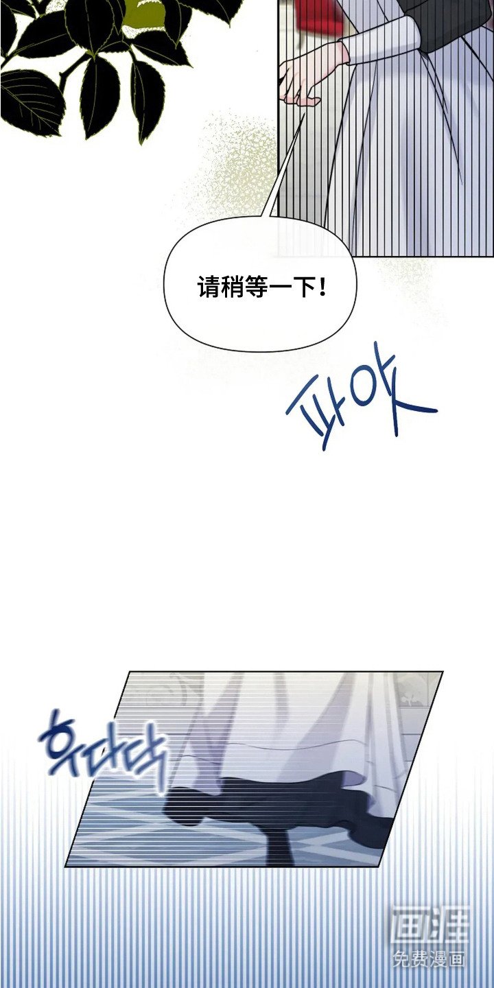第23章：玫瑰色