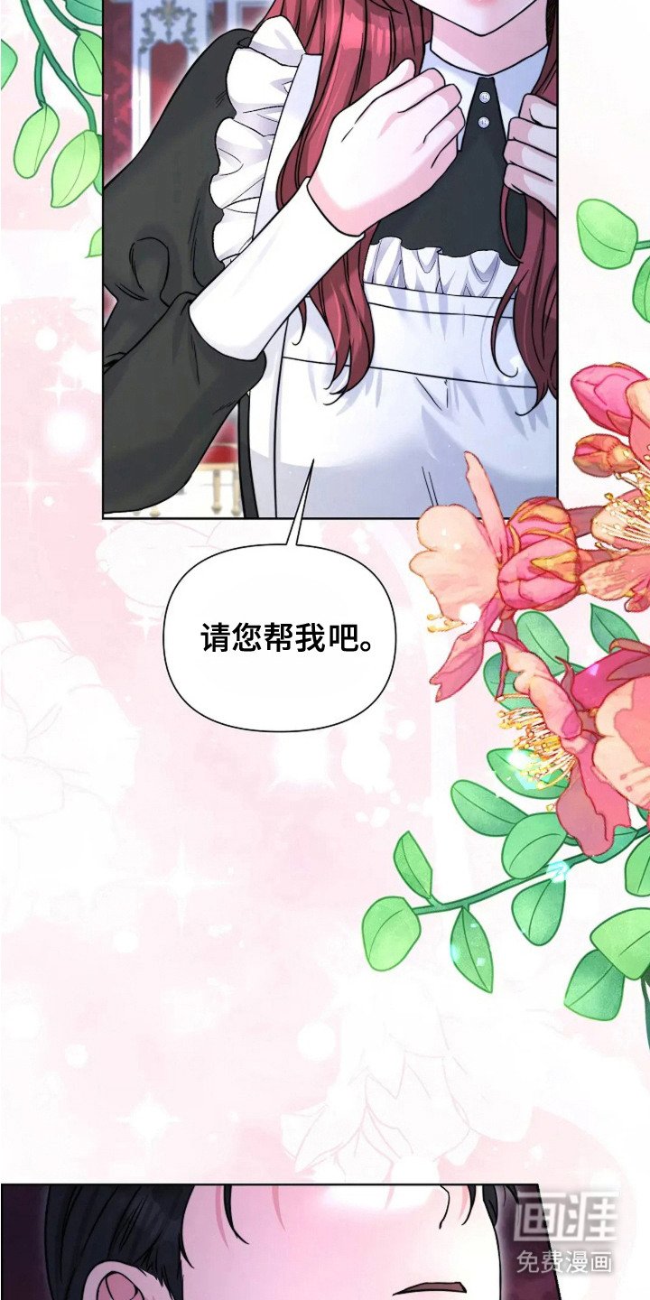 第23章：玫瑰色