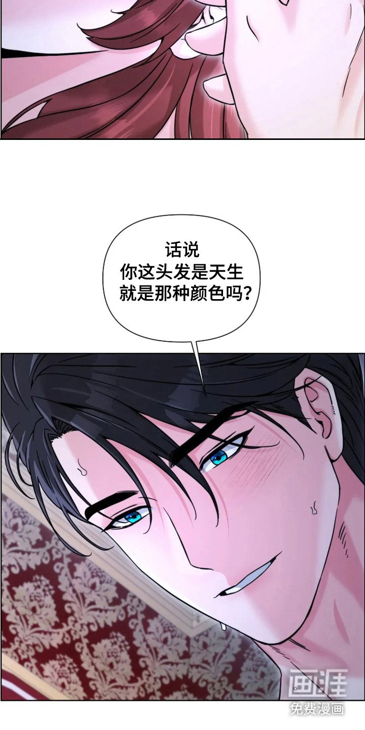第23章：玫瑰色