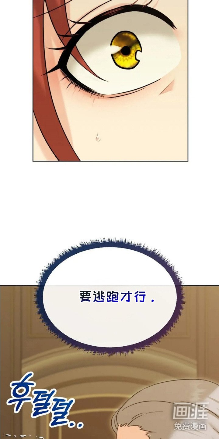 第3章：买家