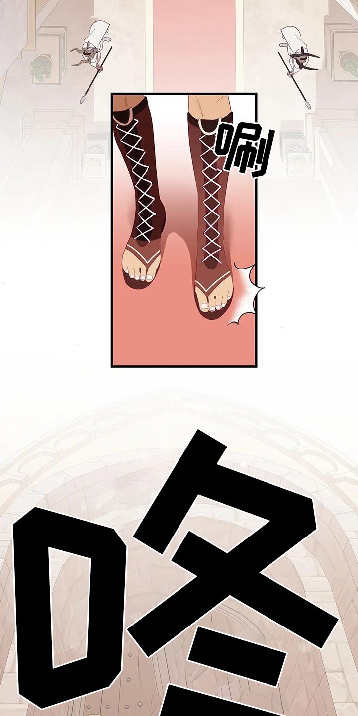 第110章：征询