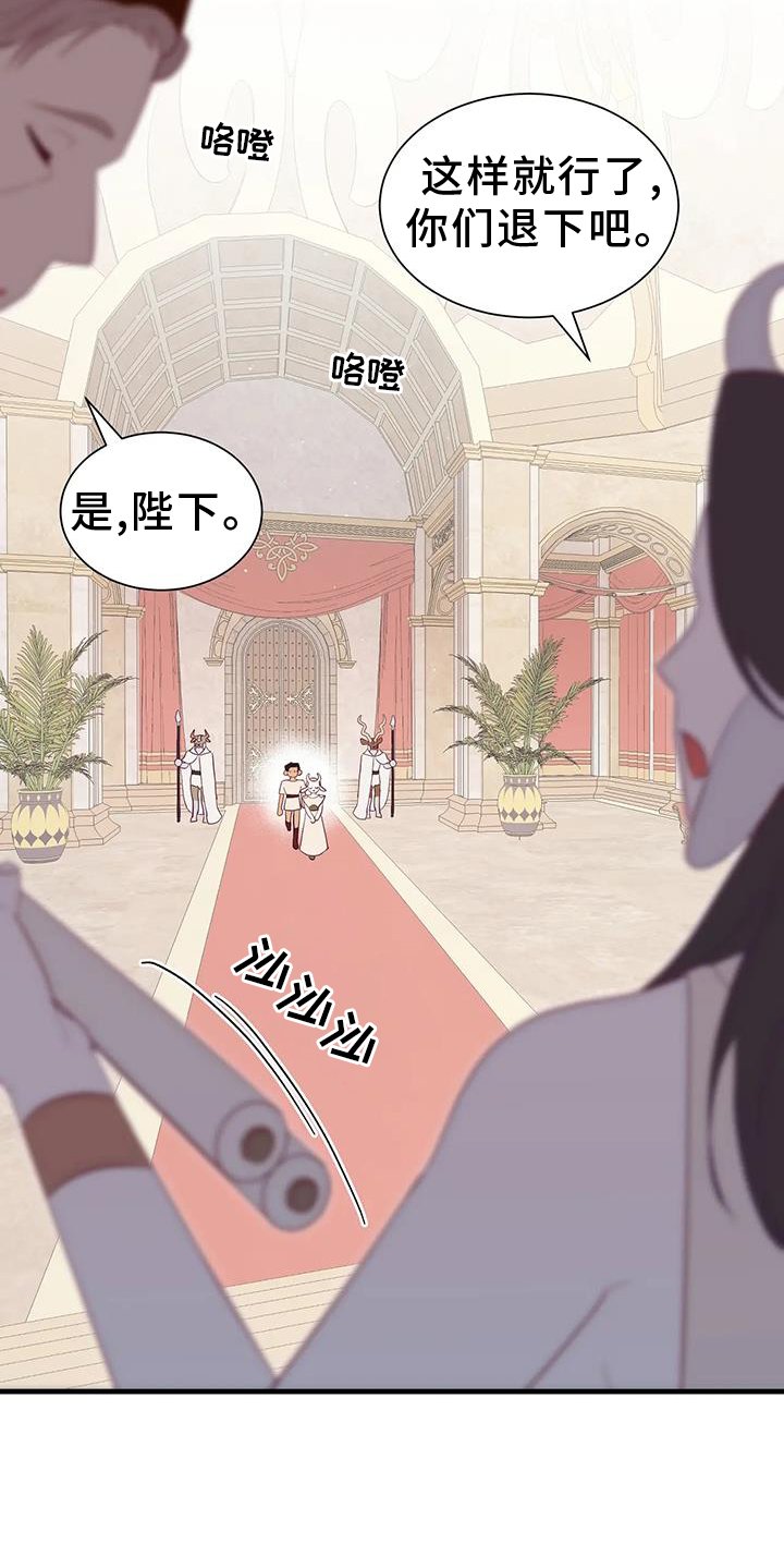 第110章：征询