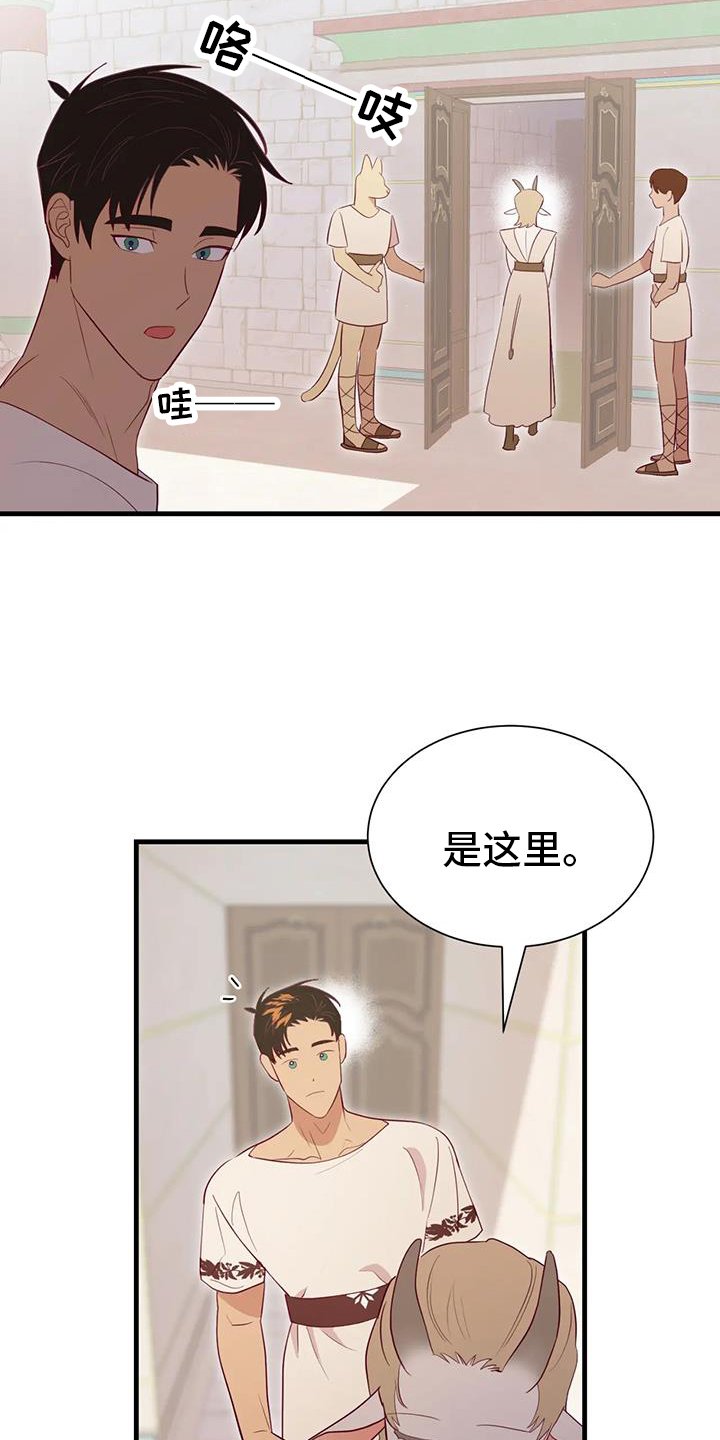 第113章：开心