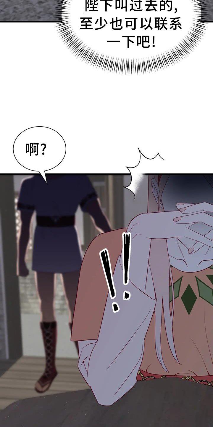 第116章：解释